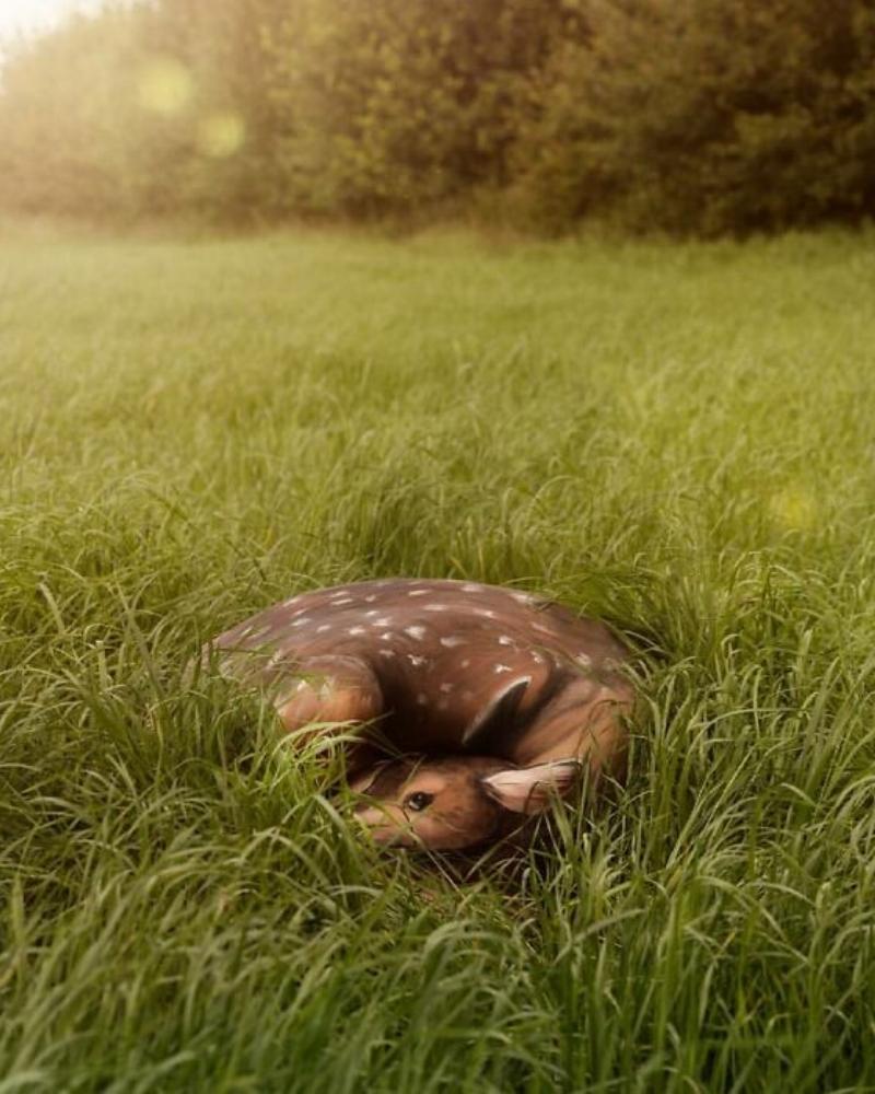 Oh deer, this is more than a breathtaking nature shot